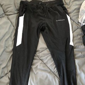 Alphalete Joggers Size L